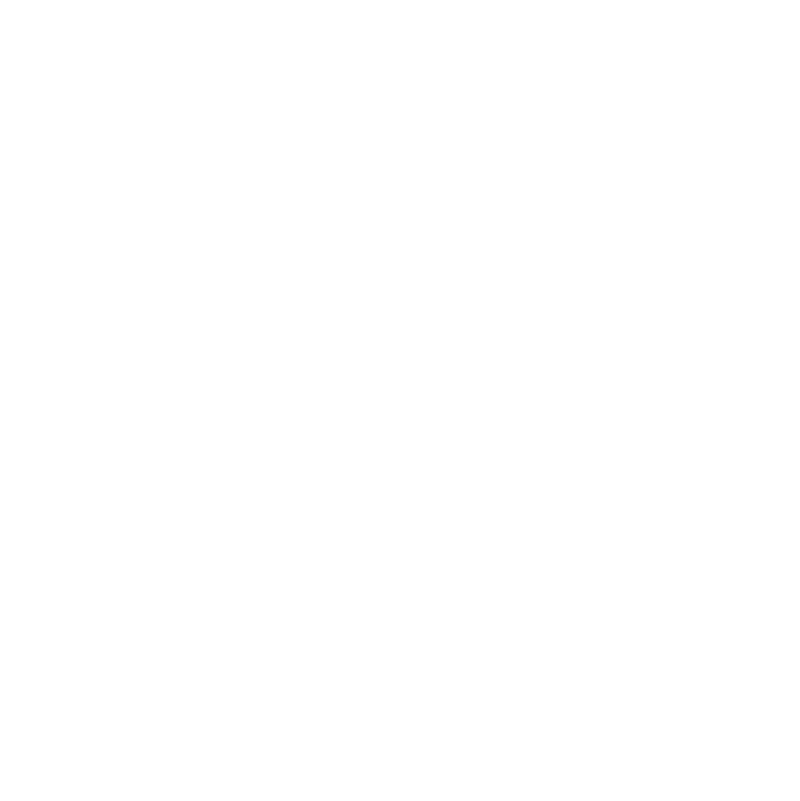 Northern Lights compass logo